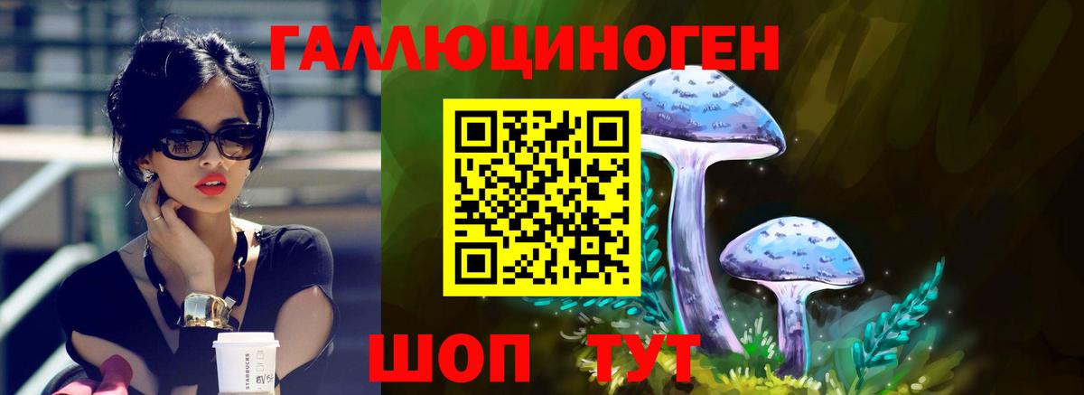 Псилоцибиновые грибы Cubensis  Вход с VPN  Заводоуковск 